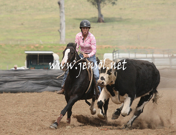 CabanandraCampdraft2013_1D_0885