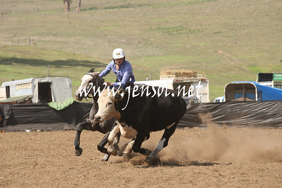 CabanandraCampdraft2013_1D_0700