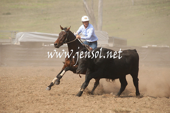 CabanandraCampdraft2013_1D_0630