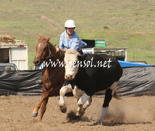 CabanandraCampdraft2013_1D_0782