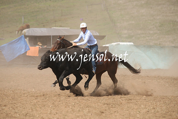 CabanandraCampdraft2013_1D_0629