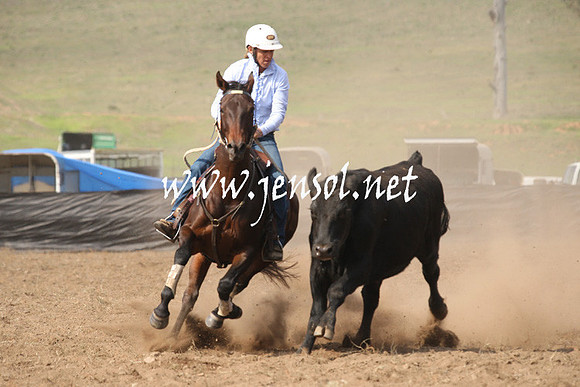 CabanandraCampdraft2013_1D_0636