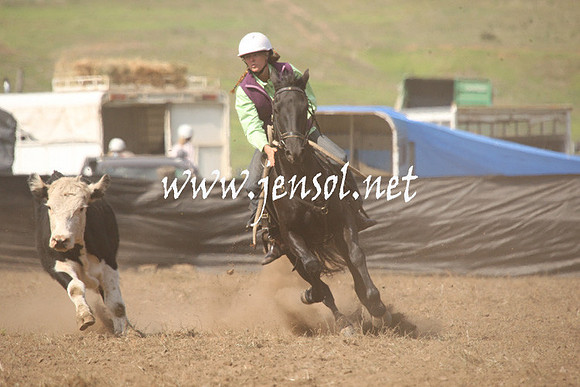 CabanandraCampdraft2013_1D_0676