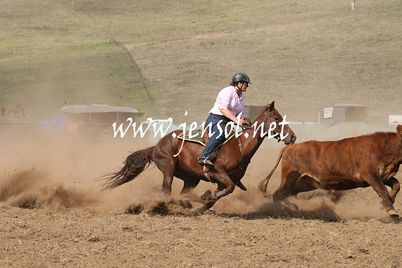 CabanandraCampdraft2013_1D_0650