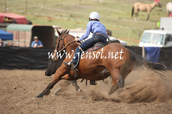CabanandraCampdraft2013_1D_0576