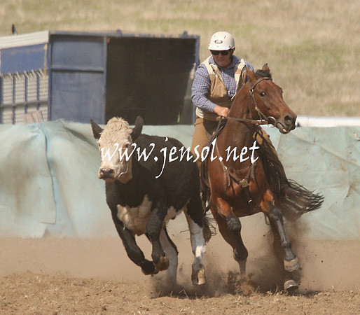 CabanandraCampdraft2013_1D_0688