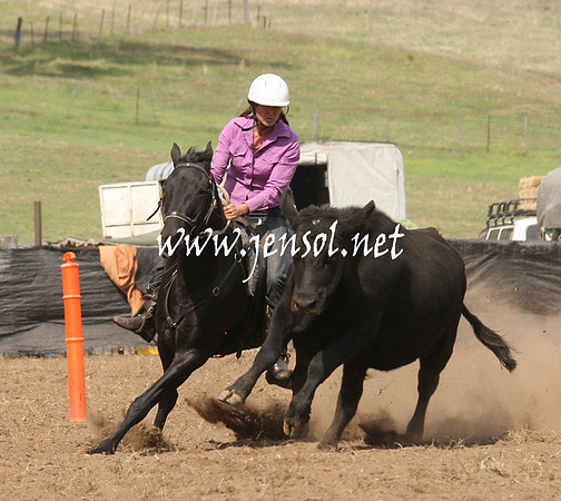 CabanandraCampdraft2013_1D_0892