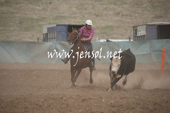 CabanandraCampdraft2013_1D_0847
