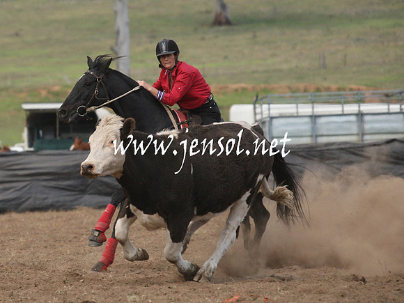 CabanandraCampdraft2013_1D_0821