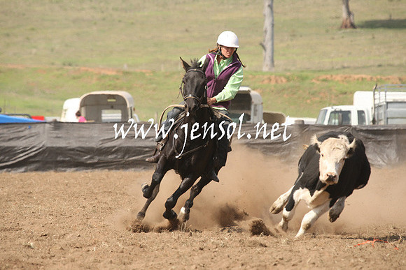 CabanandraCampdraft2013_1D_0672