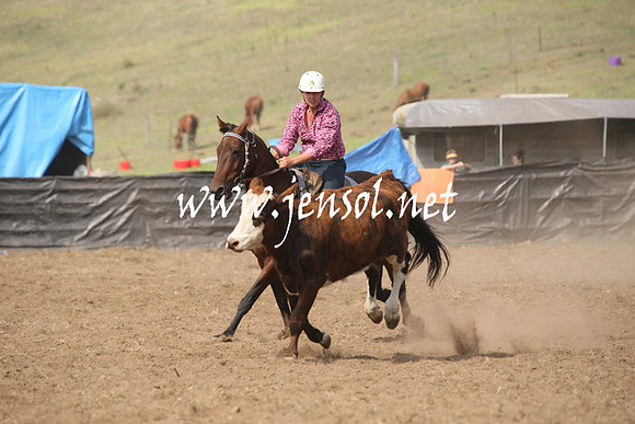 CabanandraCampdraft2013_1D_0604