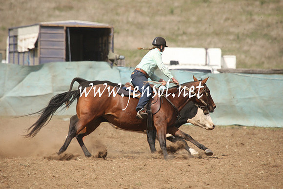 CabanandraCampdraft2013_1D_0655