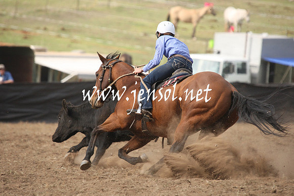 CabanandraCampdraft2013_1D_0575