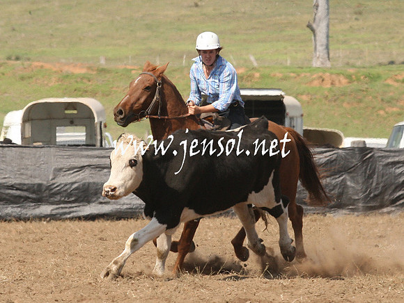 CabanandraCampdraft2013_1D_0780