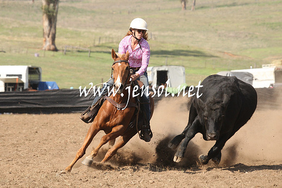 CabanandraCampdraft2013_1D_0728