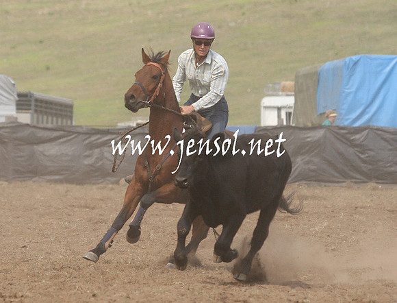 CabanandraCampdraft2013_1D_0835