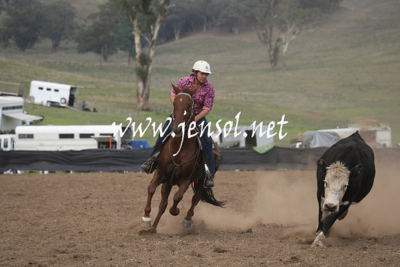 CabanandraCampdraft2013_1D_0852