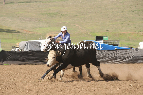 CabanandraCampdraft2013_1D_0698