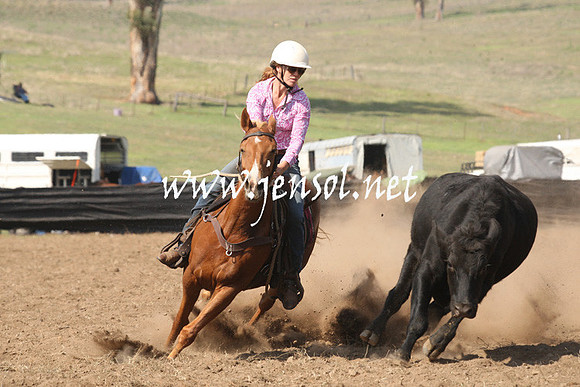 CabanandraCampdraft2013_1D_0725