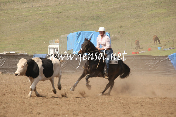 CabanandraCampdraft2013_1D_0594