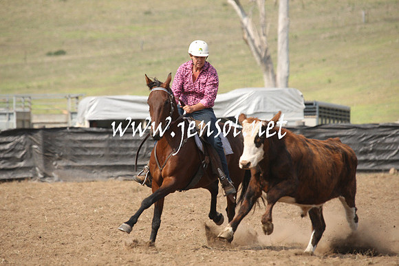 CabanandraCampdraft2013_1D_0609