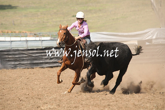 CabanandraCampdraft2013_1D_0722