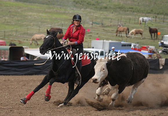 CabanandraCampdraft2013_1D_0822