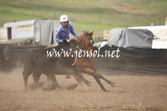 CabanandraCampdraft2013_1D_0582