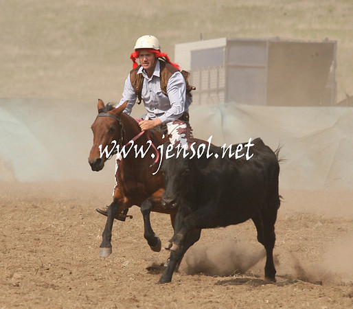 CabanandraCampdraft2013_1D_0544