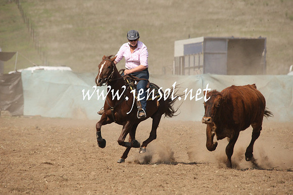 CabanandraCampdraft2013_1D_0645