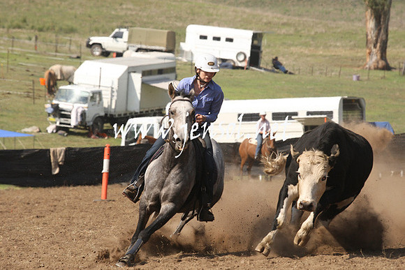 CabanandraCampdraft2013_1D_0703