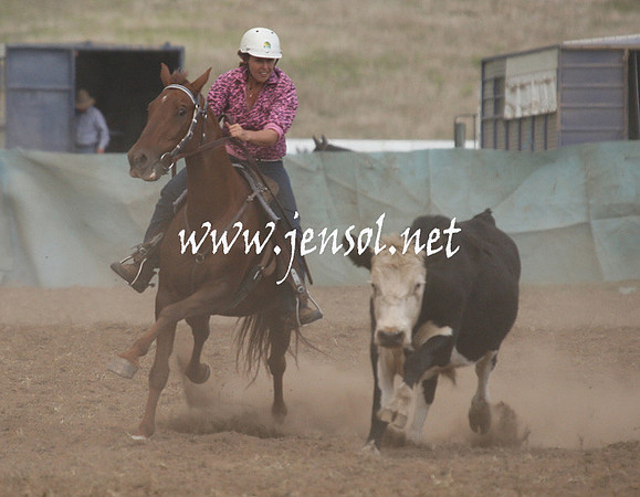CabanandraCampdraft2013_1D_0846