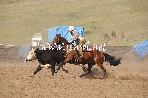 CabanandraCampdraft2013_1D_0691