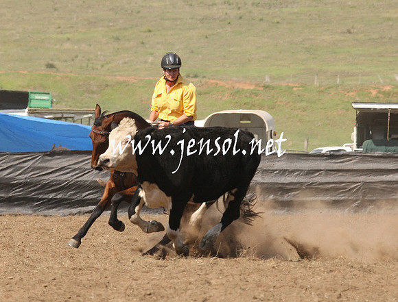 CabanandraCampdraft2013_1D_0736