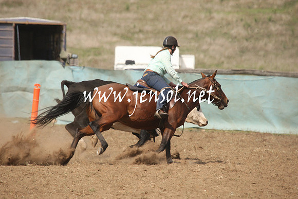 CabanandraCampdraft2013_1D_0656