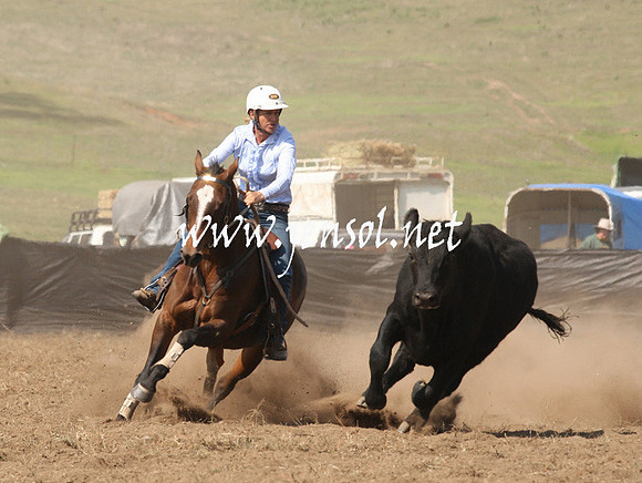 CabanandraCampdraft2013_1D_0753