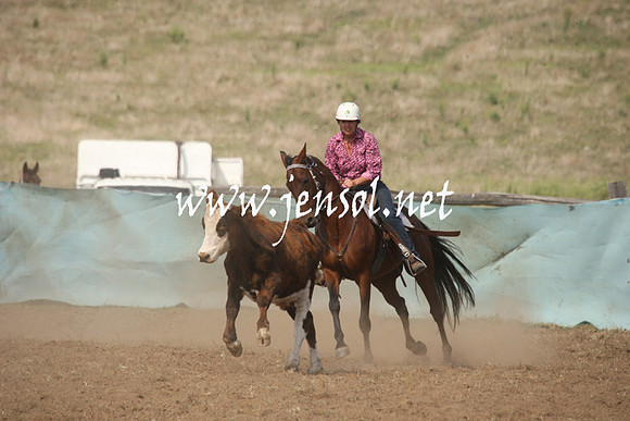 CabanandraCampdraft2013_1D_0600