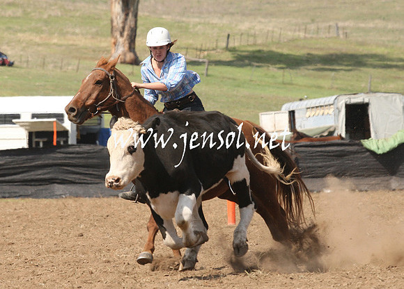 CabanandraCampdraft2013_1D_0784