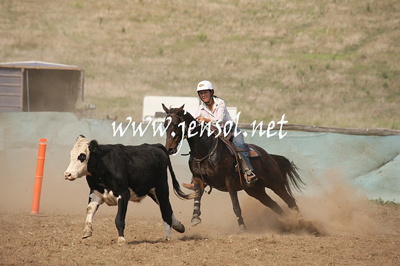 CabanandraCampdraft2013_1D_0588