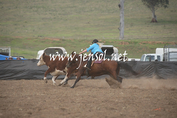 CabanandraCampdraft2013_1D_0799