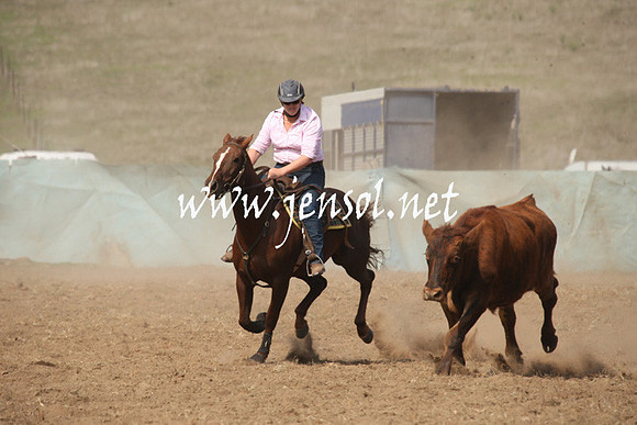 CabanandraCampdraft2013_1D_0644