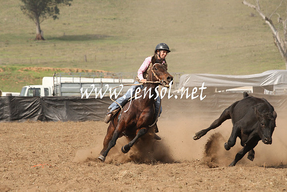 CabanandraCampdraft2013_1D_0532