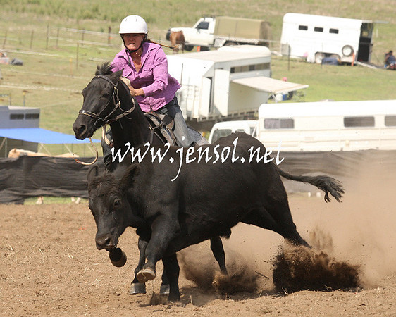 CabanandraCampdraft2013_1D_0897