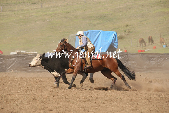 CabanandraCampdraft2013_1D_0692
