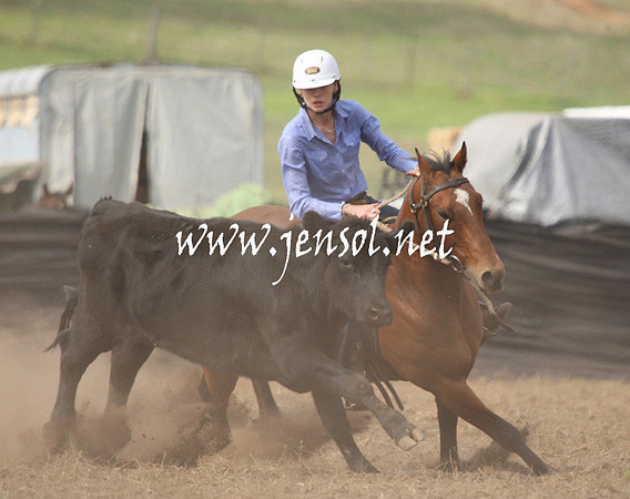 CabanandraCampdraft2013_1D_0580