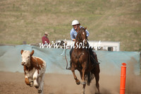 CabanandraCampdraft2013_1D_0564