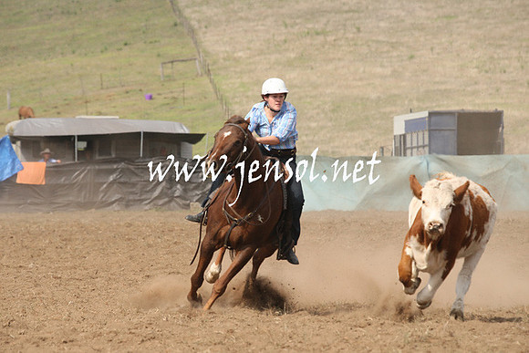CabanandraCampdraft2013_1D_0572