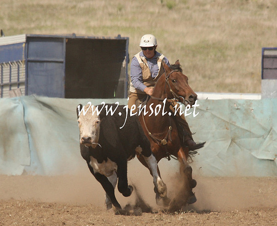 CabanandraCampdraft2013_1D_0687