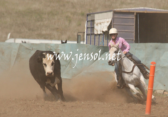 CabanandraCampdraft2013_1D_0657