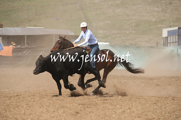 CabanandraCampdraft2013_1D_0627